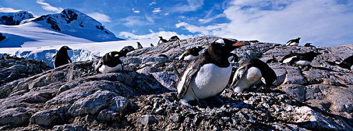 《最终幻想16》创意总监：可玩角色不止“克莱布”一个