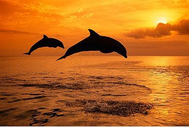 开发者：ARPG《铁锤守卫2》比起暗黑更像塞尔达